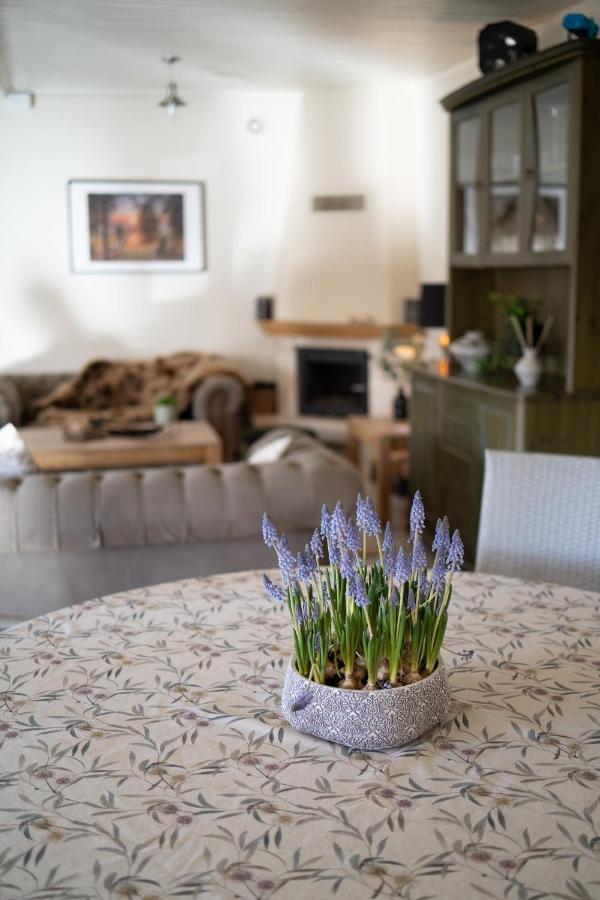 Guest House In Dobele City Center- Pilsetas Maja Extérieur photo